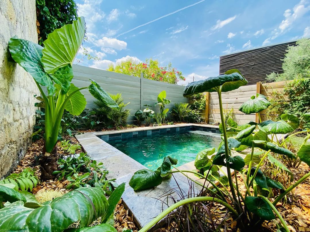 Végétalisation piscine